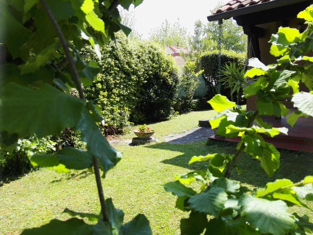 Il Gelsomino Villa Forte dei Marmi Exterior foto